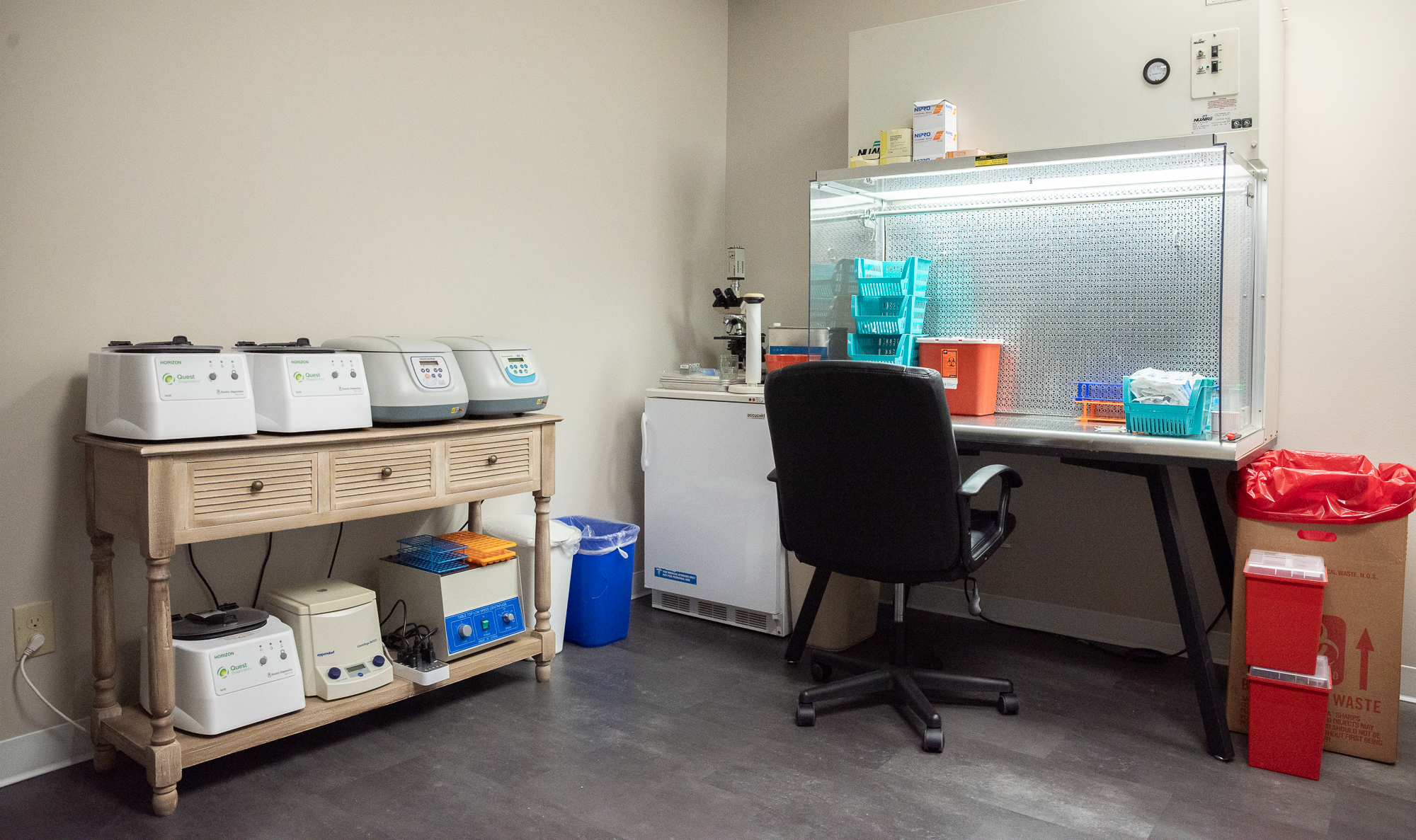 lab